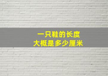 一只鞋的长度大概是多少厘米