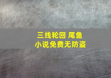 三线轮回 尾鱼 小说免费无防盗