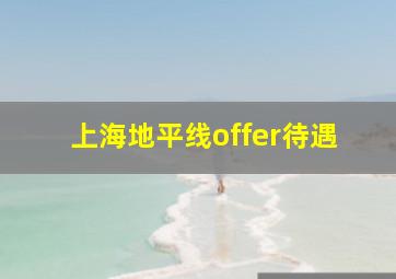 上海地平线offer待遇