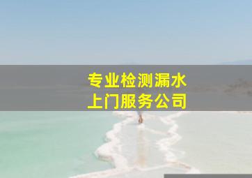 专业检测漏水上门服务公司