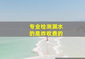 专业检测漏水的是咋收费的