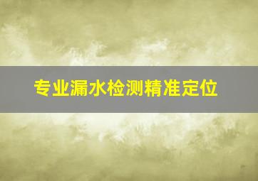 专业漏水检测精准定位