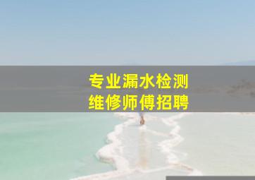 专业漏水检测维修师傅招聘