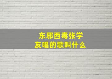 东邪西毒张学友唱的歌叫什么