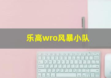 乐高wro风暴小队