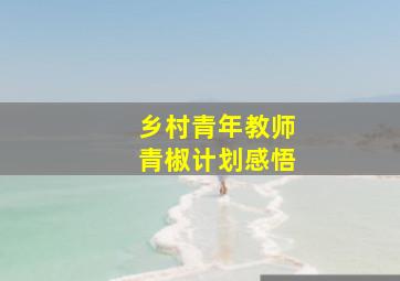 乡村青年教师青椒计划感悟