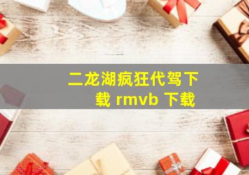 二龙湖疯狂代驾下载 rmvb 下载