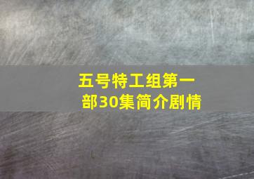 五号特工组第一部30集简介剧情