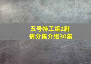 五号特工组2剧情分集介绍30集