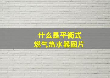 什么是平衡式燃气热水器图片