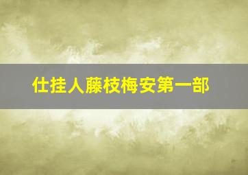 仕挂人藤枝梅安第一部