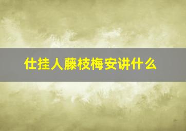 仕挂人藤枝梅安讲什么