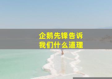 企鹅先锋告诉我们什么道理