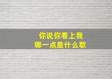 你说你看上我哪一点是什么歌