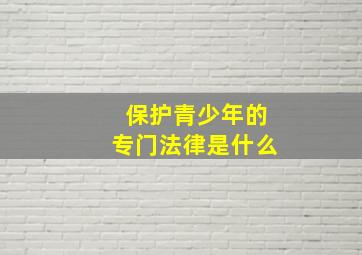 保护青少年的专门法律是什么