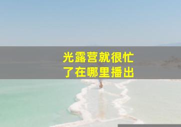 光露营就很忙了在哪里播出