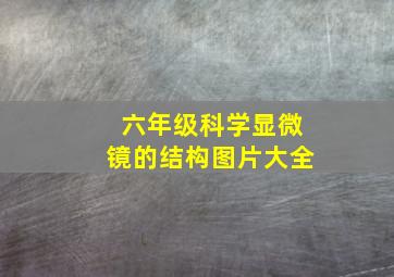 六年级科学显微镜的结构图片大全