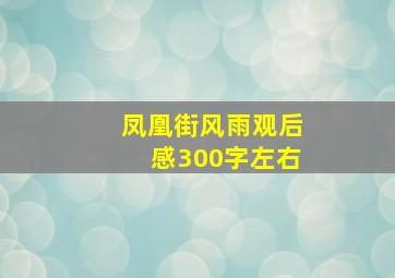 凤凰街风雨观后感300字左右