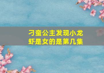 刁蛮公主发现小龙虾是女的是第几集