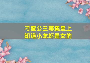 刁蛮公主哪集皇上知道小龙虾是女的