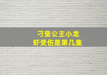 刁蛮公主小龙虾受伤是第几集