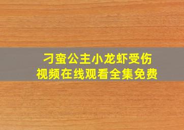 刁蛮公主小龙虾受伤视频在线观看全集免费