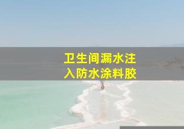 卫生间漏水注入防水涂料胶