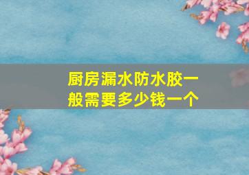 厨房漏水防水胶一般需要多少钱一个