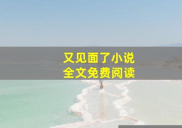 又见面了小说全文免费阅读