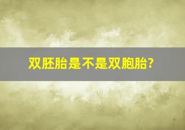 双胚胎是不是双胞胎?