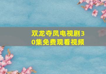 双龙夺凤电视剧30集免费观看视频