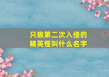 只狼第二次入侵的精英怪叫什么名字