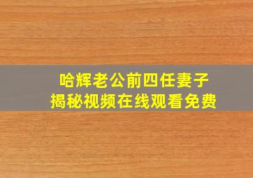 哈辉老公前四任妻子揭秘视频在线观看免费