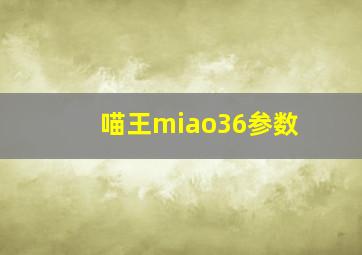 喵王miao36参数