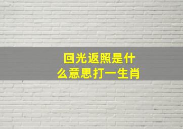 回光返照是什么意思打一生肖