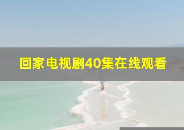 回家电视剧40集在线观看