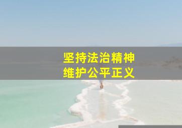 坚持法治精神维护公平正义