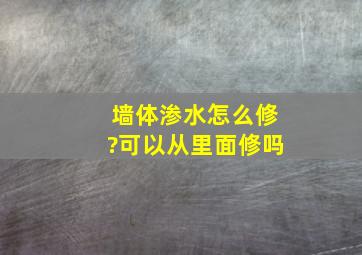 墙体渗水怎么修?可以从里面修吗