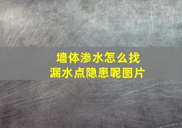 墙体渗水怎么找漏水点隐患呢图片