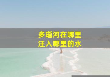 多瑙河在哪里注入哪里的水