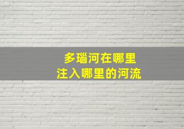 多瑙河在哪里注入哪里的河流