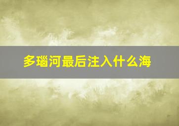 多瑙河最后注入什么海