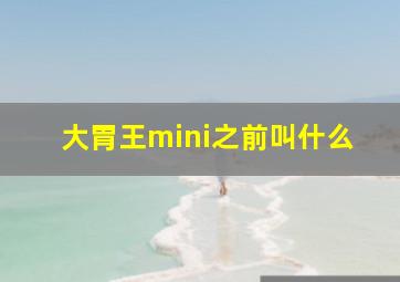 大胃王mini之前叫什么