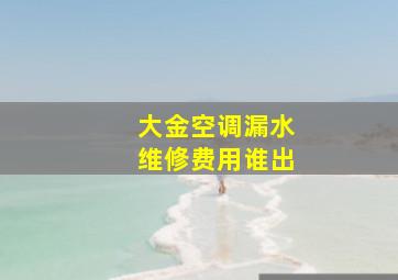 大金空调漏水维修费用谁出