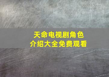 天命电视剧角色介绍大全免费观看