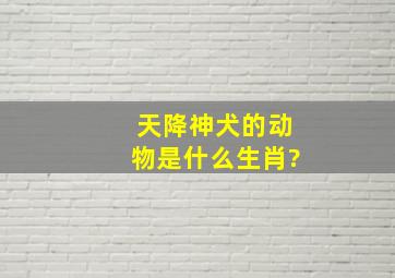 天降神犬的动物是什么生肖?