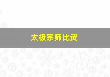 太极宗师比武