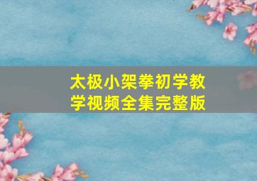 太极小架拳初学教学视频全集完整版