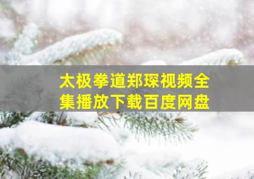 太极拳道郑琛视频全集播放下载百度网盘