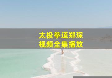 太极拳道郑琛视频全集播放